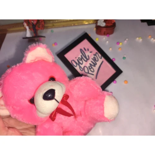 Pink Musical Teddy3